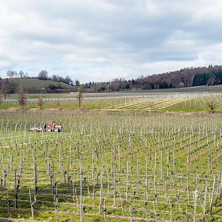 Am Baechler Feriehus