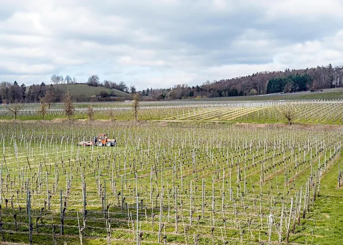 Am Baechler Semesterbostad